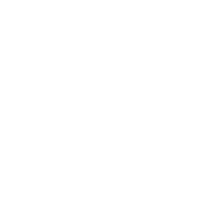 Giant Eagle logo