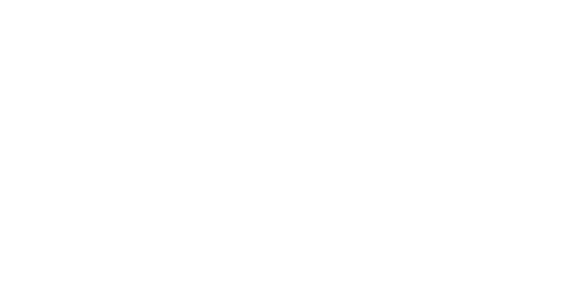 Lyon Aéroport logo